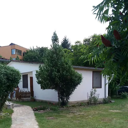 Ajax Guest house